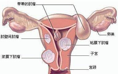 第331页