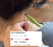 游戏专题 第25页