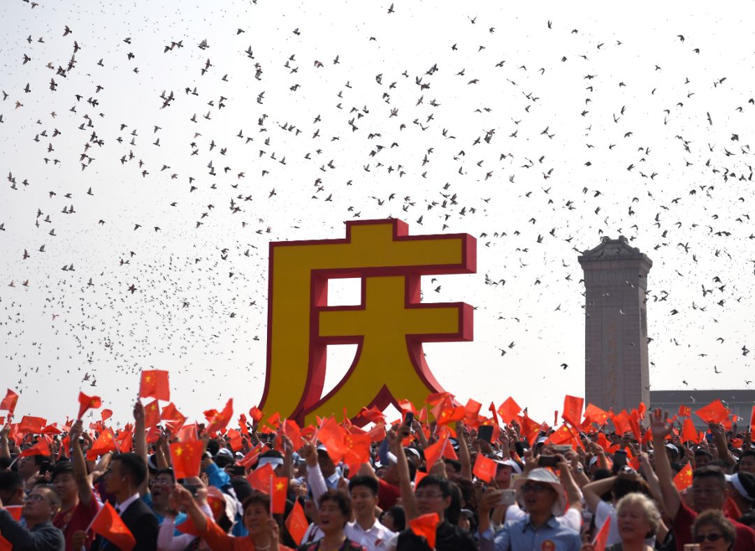 放飞回家的鸽子的视频放飞回家的鸽子视频，一段温暖人心的归巢之旅